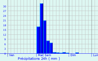 Graphique des précipitations prvues pour Mirande
