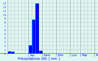 Graphique des précipitations prvues pour Saint-Vincent-de-Reins