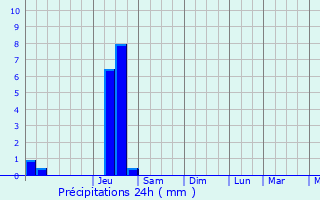 Graphique des précipitations prvues pour Brussieu