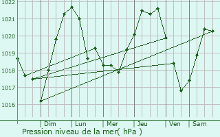 Graphe de la pression atmosphrique prvue pour Constitucin