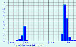 Graphique des précipitations prvues pour Algorta