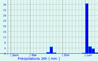 Graphique des précipitations prvues pour Saint-Martin-des-Combes