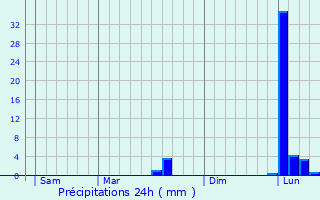 Graphique des précipitations prvues pour Lamonzie-Montastruc