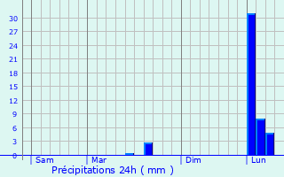 Graphique des précipitations prvues pour Marsaneix