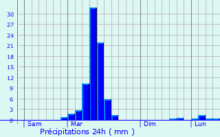 Graphique des précipitations prvues pour Cadillon