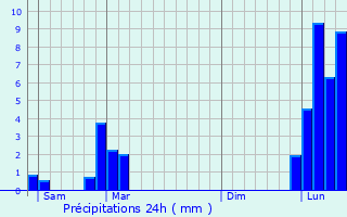 Graphique des précipitations prvues pour Saint-Sylvestre