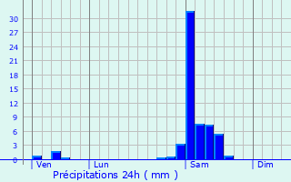 Graphique des précipitations prvues pour Guiche