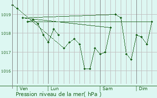 Graphe de la pression atmosphrique prvue pour Collioure