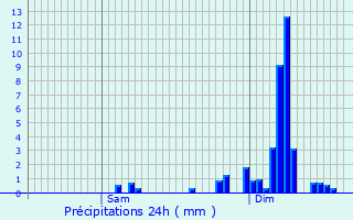 Graphique des précipitations prvues pour troussat