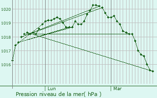 Graphe de la pression atmosphrique prvue pour Dannemarie