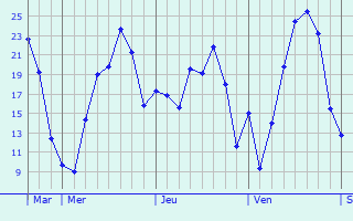 Graphique des températures prévues pour Bekkevoort