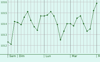 Graphe de la pression atmosphérique prévue pour Ruiselede