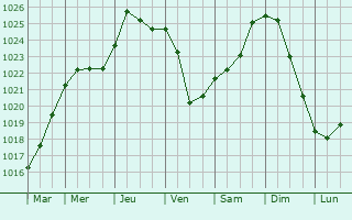 Graphe de la pression atmosphrique prvue pour Tomsk