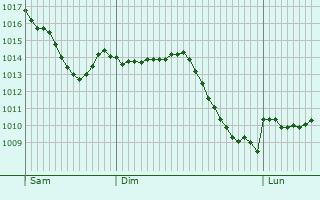 Graphe de la pression atmosphrique prvue pour Radolfzell am Bodensee