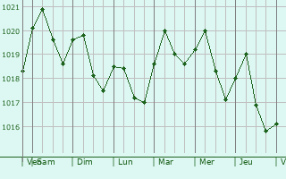 Graphe de la pression atmosphrique prvue pour Bradenton