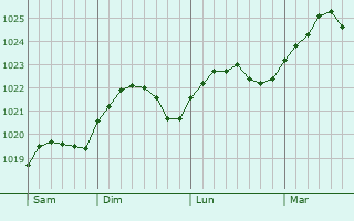 Graphe de la pression atmosphérique prévue pour Lovisa