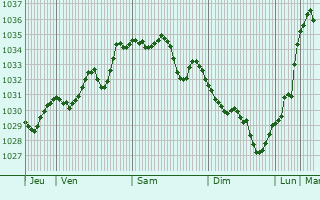 Graphe de la pression atmosphérique prévue pour Montoulieu