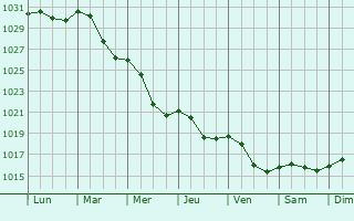 Graphe de la pression atmosphrique prvue pour Radashkovichy