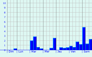 Graphique des précipitations prvues pour Saint-Pierre-la-Bruyre