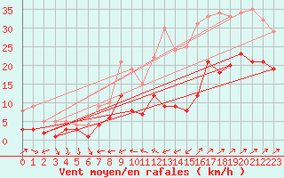 Courbe de la force du vent pour Dogern