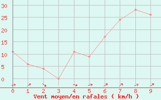 Courbe de la force du vent pour Port Edward