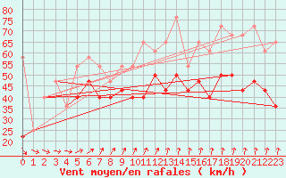 Courbe de la force du vent pour Tarcu Mountain