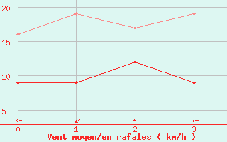 Courbe de la force du vent pour Plaine des Cafres (974)