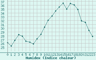 Courbe de l'humidex pour Muret (31)