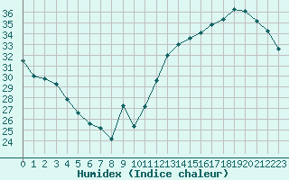 Courbe de l'humidex pour Jan (Esp)