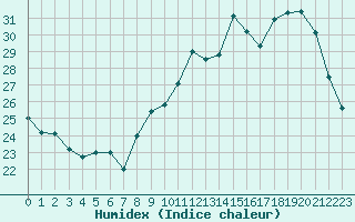 Courbe de l'humidex pour Berson (33)