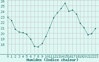 Courbe de l'humidex pour Puissalicon (34)