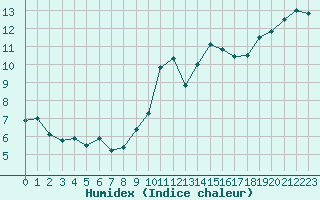 Courbe de l'humidex pour Biscarrosse (40)