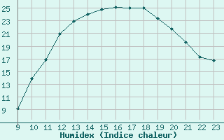 Courbe de l'humidex pour Pertuis - Grand Cros (84)