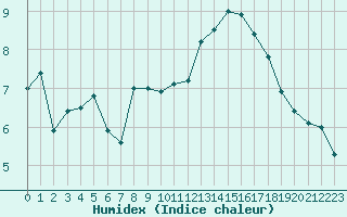 Courbe de l'humidex pour Rochefort Saint-Agnant (17)