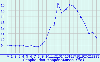 Courbe de tempratures pour Selonnet (04)