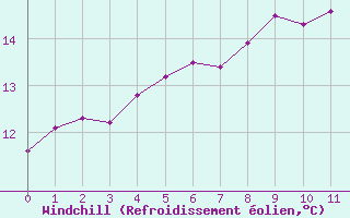 Courbe du refroidissement olien pour L