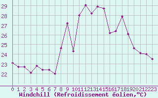Courbe du refroidissement olien pour Ile du Levant (83)