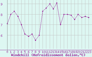 Courbe du refroidissement olien pour Ile d
