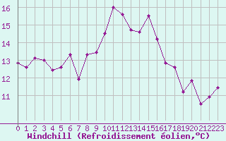 Courbe du refroidissement olien pour Ile Rousse (2B)
