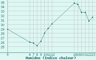 Courbe de l'humidex pour Jan (Esp)