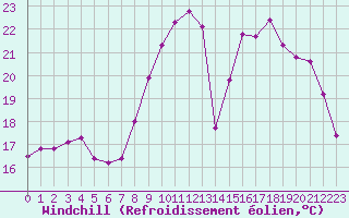 Courbe du refroidissement olien pour Luc-sur-Orbieu (11)