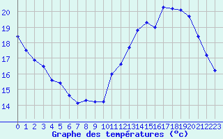 Courbe de tempratures pour Jan (Esp)