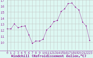 Courbe du refroidissement olien pour Cognac (16)