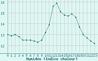 Courbe de l'humidex pour Rochefort Saint-Agnant (17)