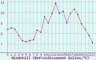Courbe du refroidissement olien pour Hd-Bazouges (35)