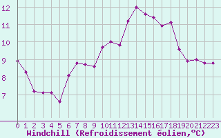 Courbe du refroidissement olien pour Angers-Beaucouz (49)
