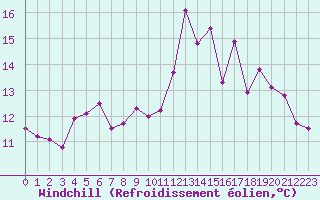 Courbe du refroidissement olien pour Leucate (11)