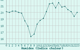 Courbe de l'humidex pour Pointe de Chassiron (17)