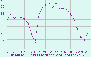 Courbe du refroidissement olien pour Cavalaire-sur-Mer (83)