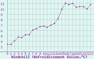 Courbe du refroidissement olien pour Angers-Marc (49)